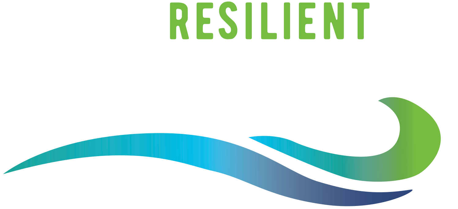 Resilient Norfolk